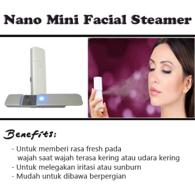 large2 nano mini facial steamer